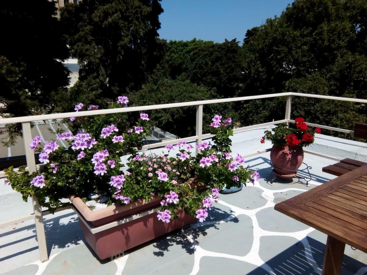Park House -Beside The Medieval Town Of Rhodes Родос Экстерьер фото